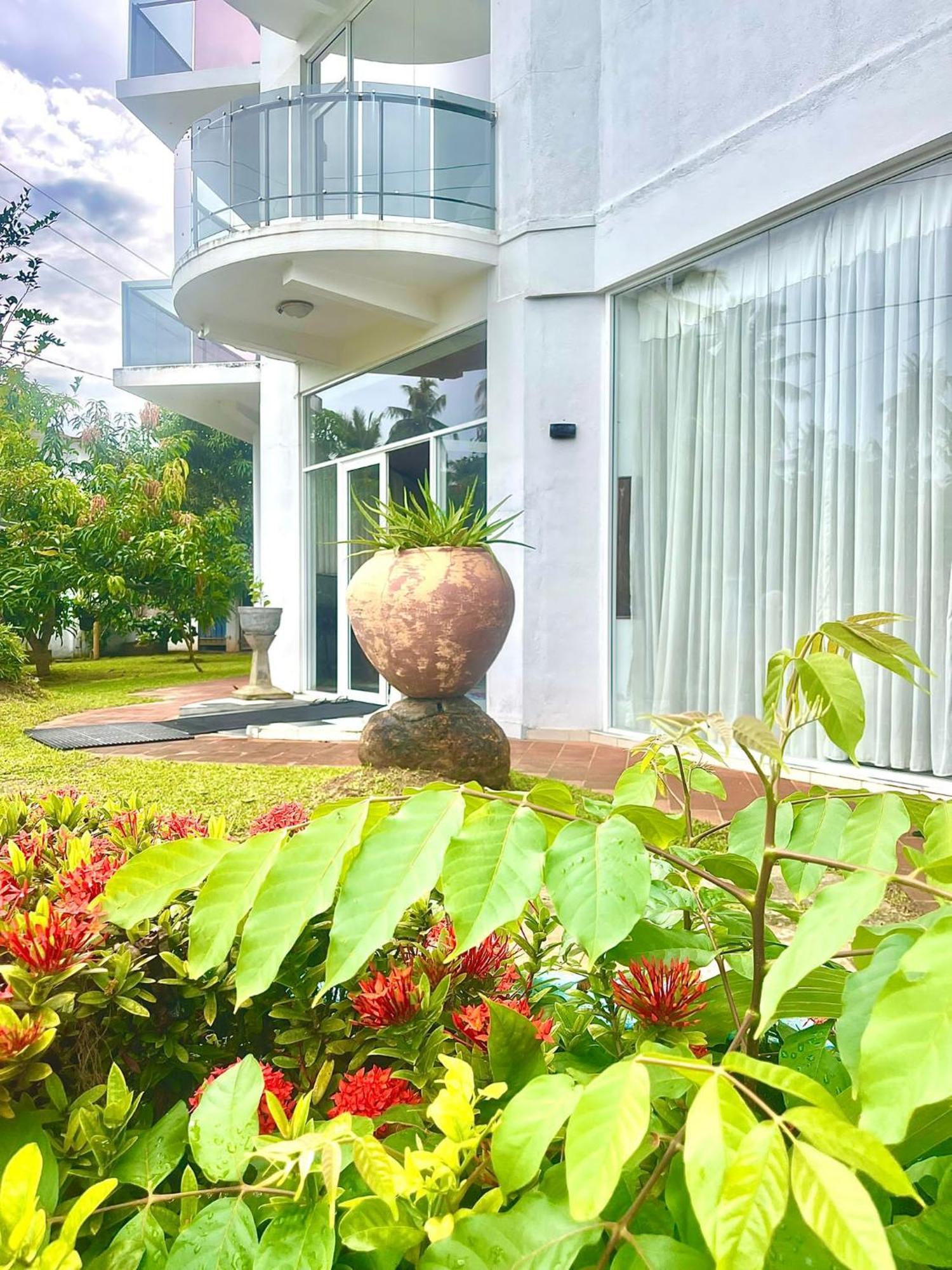 Amaya Beach Hotel Dikwella エクステリア 写真